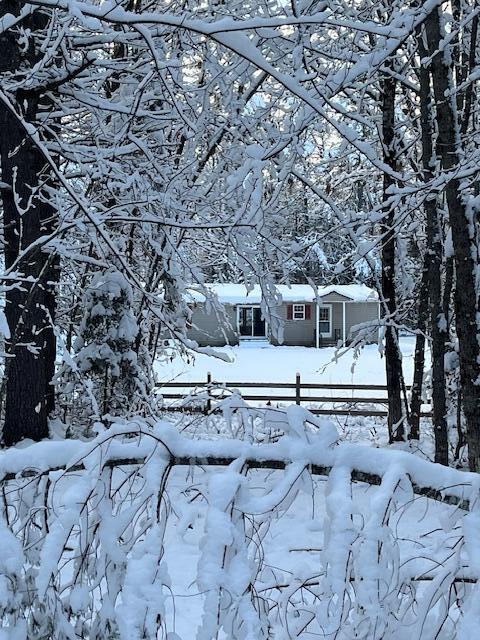 45 Blind Road Livermore Falls, ME 04254 - Photo 43 of 45 Backyard-Through Woods