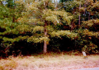0 Quaker Ridge Road Aiken, SC 29803 - Photo 1 of 1 Gallery Image 1