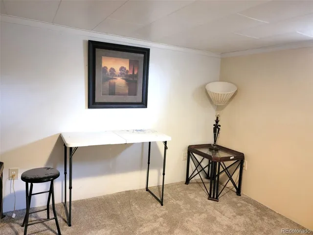 a room with furniture and a potted plant