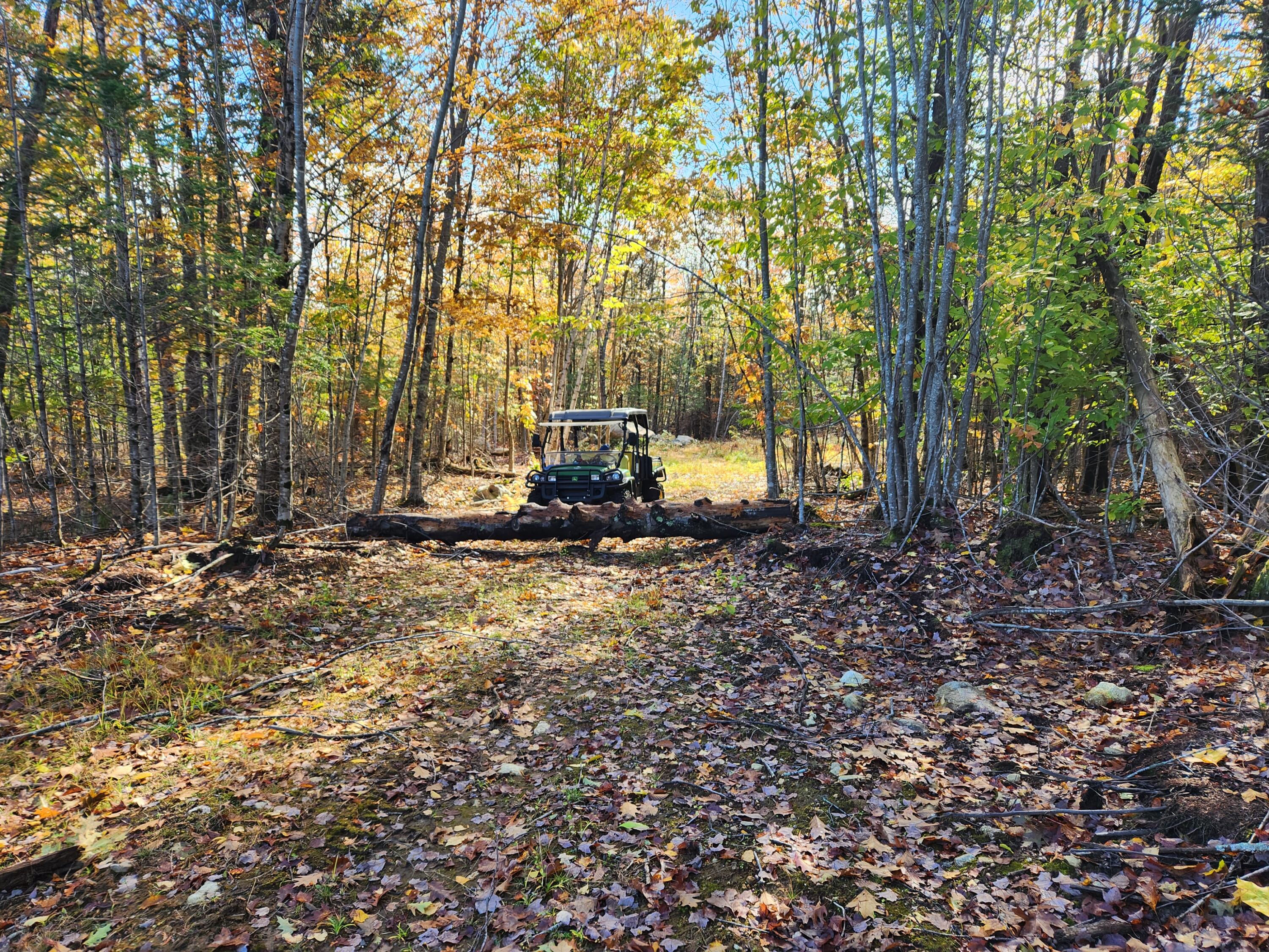 6 C Old Sumner Road Buckfield, ME 04220 - Photo 8 of 20 20221015_105021
