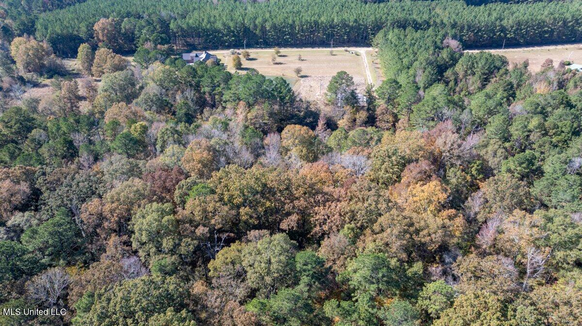 J C Prestage Road Pelahatchie, MS 39145 - Photo 2 of 8 03-Mid Property Facing West