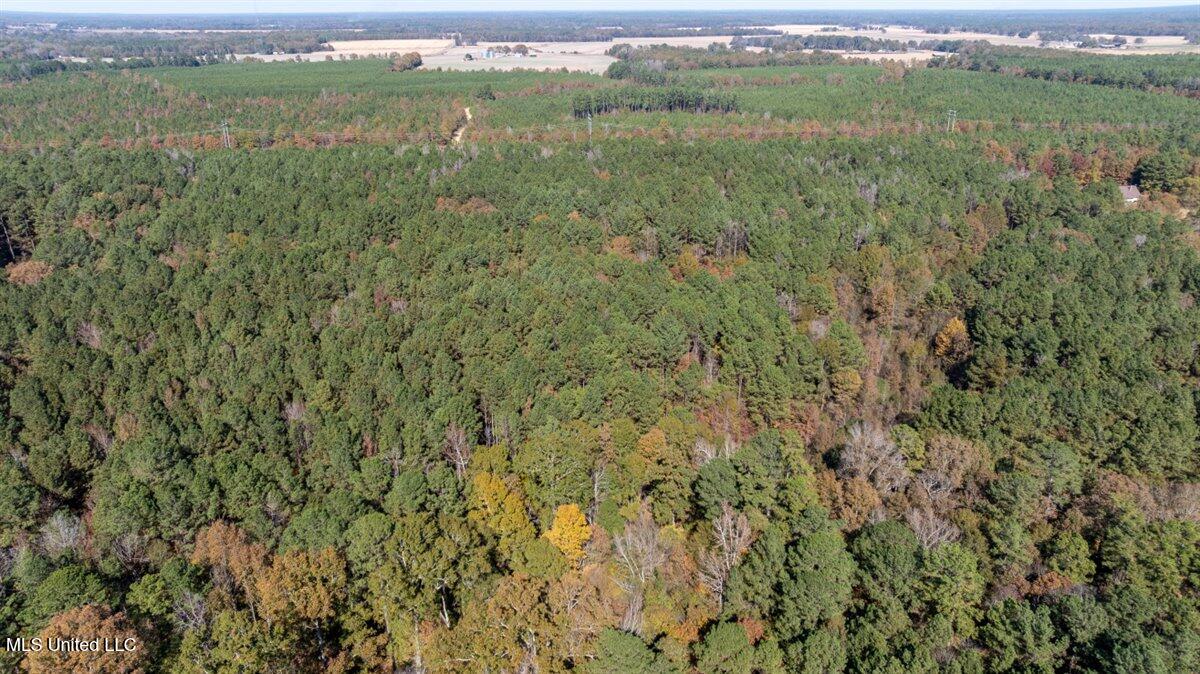 J C Prestage Road Pelahatchie, MS 39145 - Photo 5 of 8 06-Mid Property Facing North