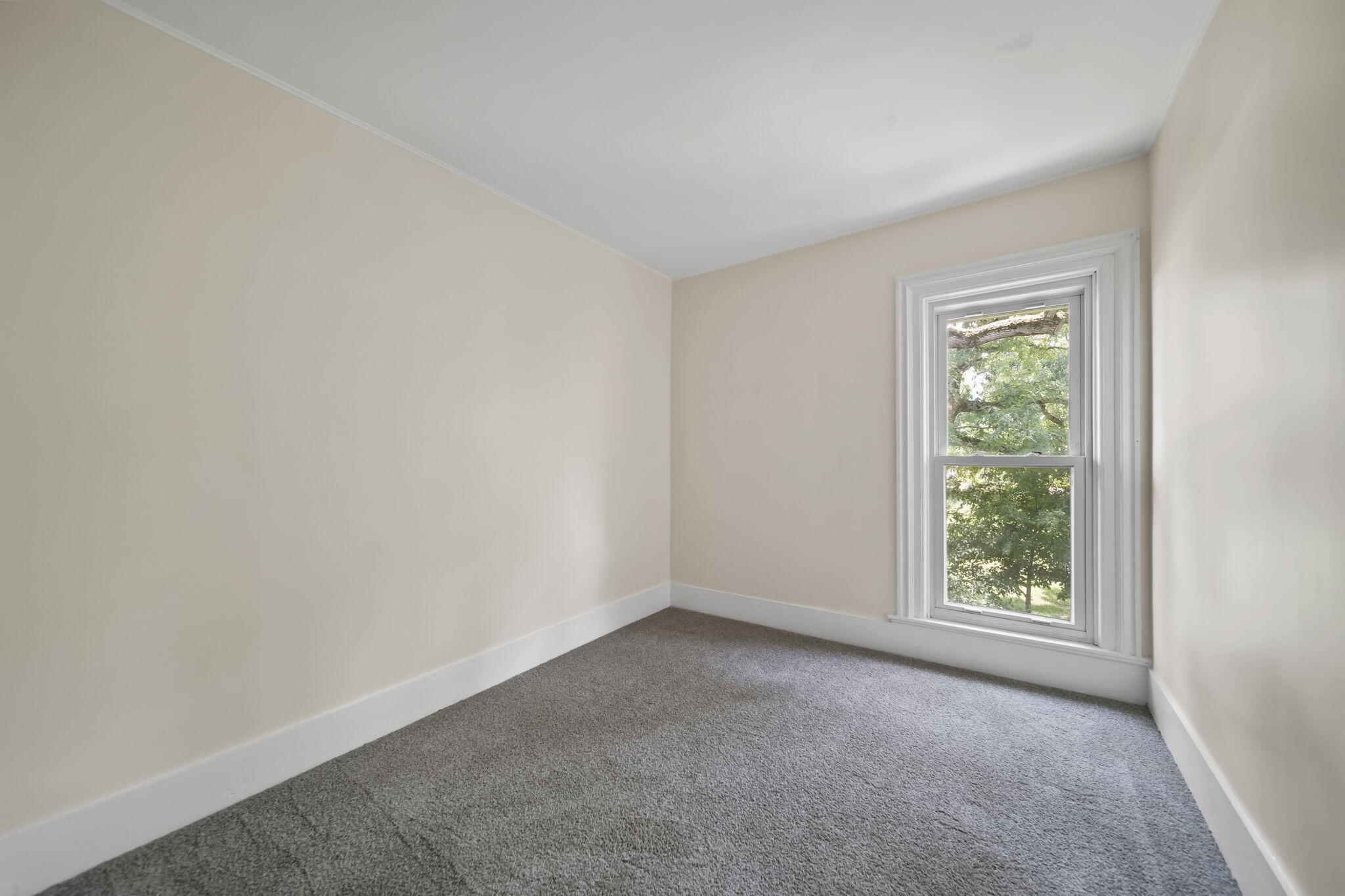15379 Howard Road Homer, MI 49245 - Photo 19 of 90 20-web-or-mls-DSC06602