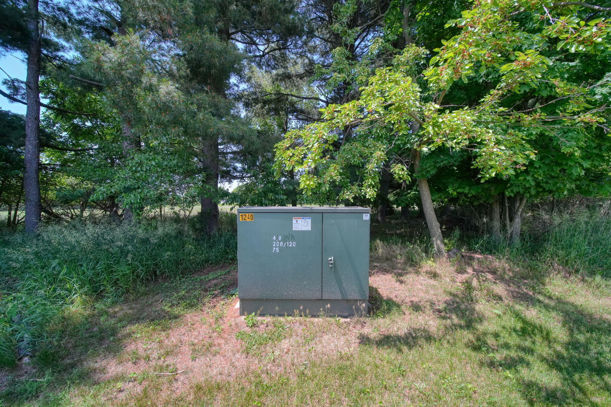 15379 Howard Road Homer, MI 49245 - Photo 70 of 90 72-web-or-mls-DSC06474_HDR