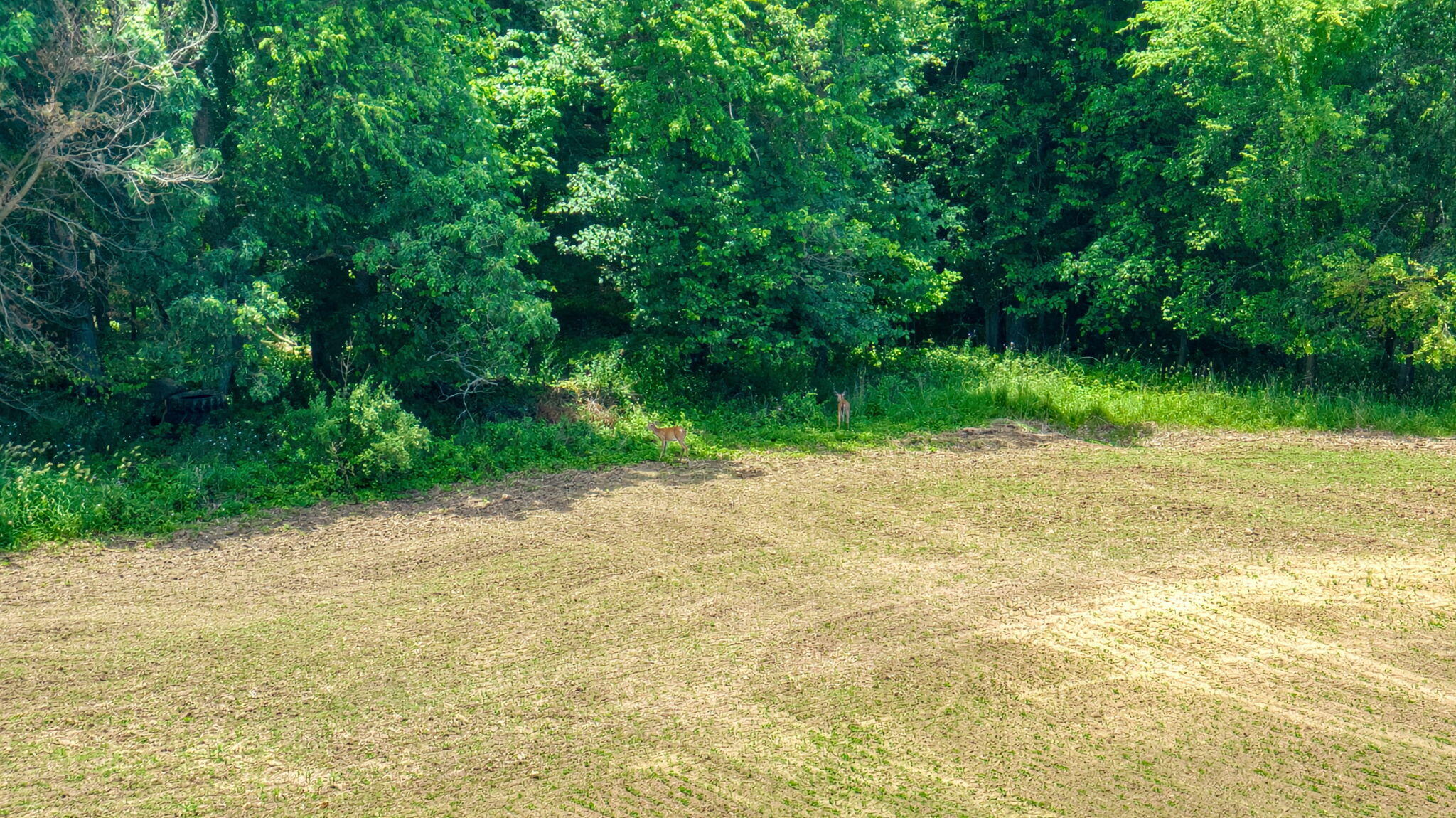 15379 Howard Road Homer, MI 49245 - Photo 83 of 90 80-web-or-mls-DJI_0291_HDR