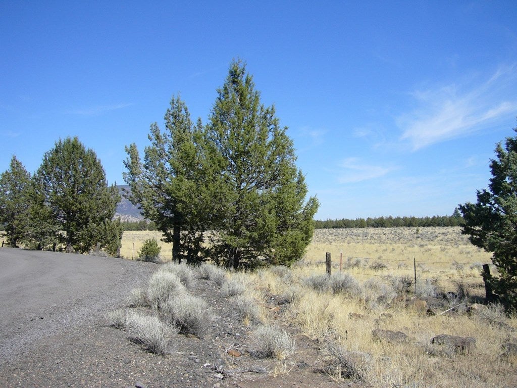 640 Acres Red Rock Road Macdoel, CA 96058 - Photo 3 of 24 Gallery Image 3