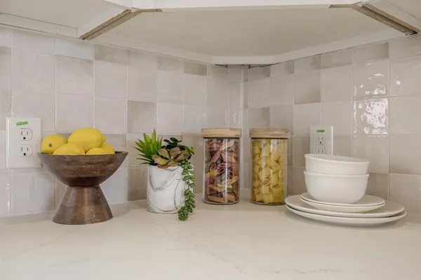 a kitchen with a refrigerator and a potted plant