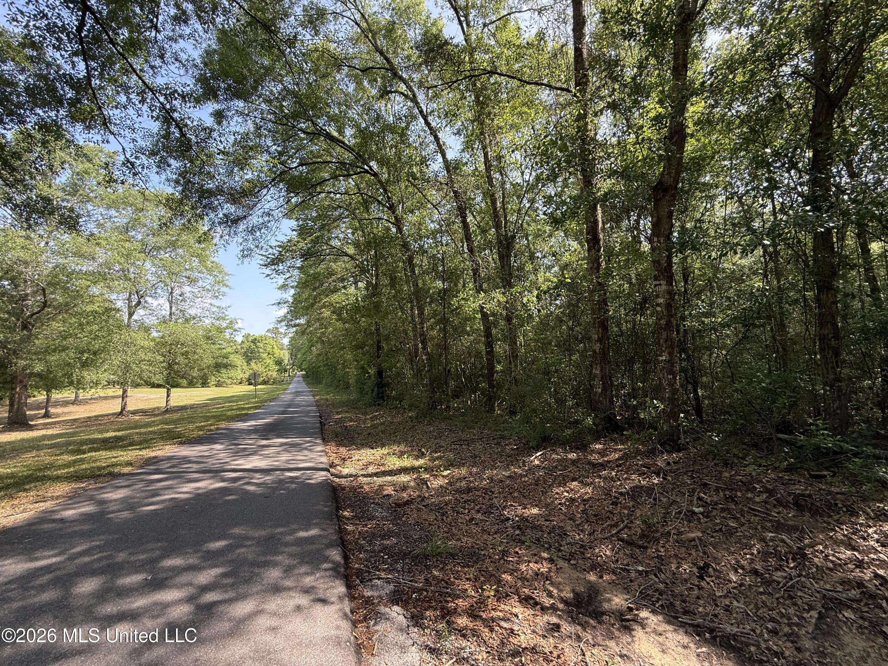 0 Henry House Road Saucier, MS 39574 - Photo 6 of 13 IMG_1215