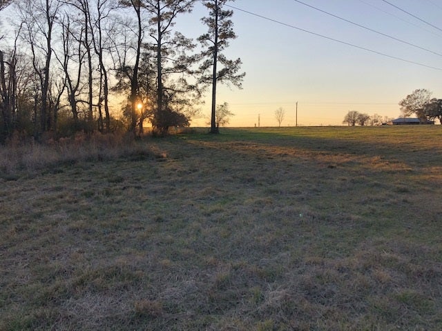 4-ac Babbie Road Andalusia, AL 36421 - Photo 12 of 17 Gallery Image 12