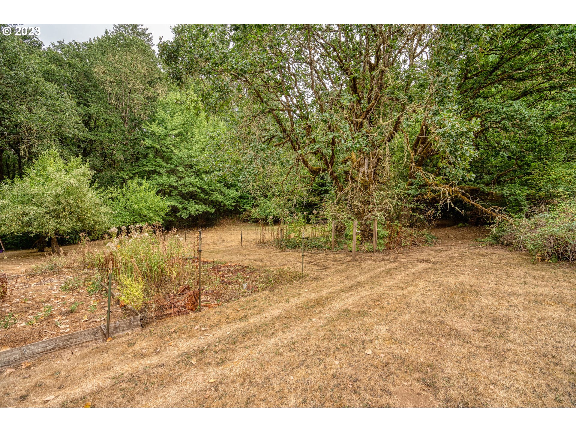 26720 Northwest Williams Canyon Road Gaston, OR 97119 - Photo 16 of 33 a view of a yard with a tree