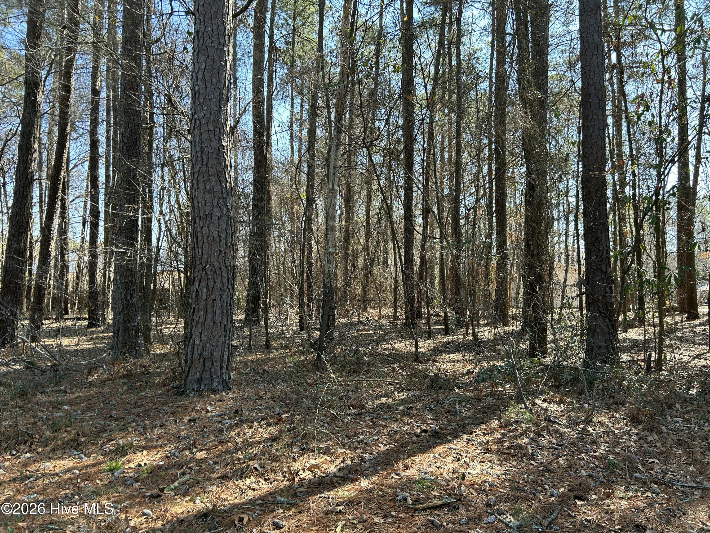 1502 Sac Trail Edenton, NC 27932 - Photo 1 of 5 The Lot for sale