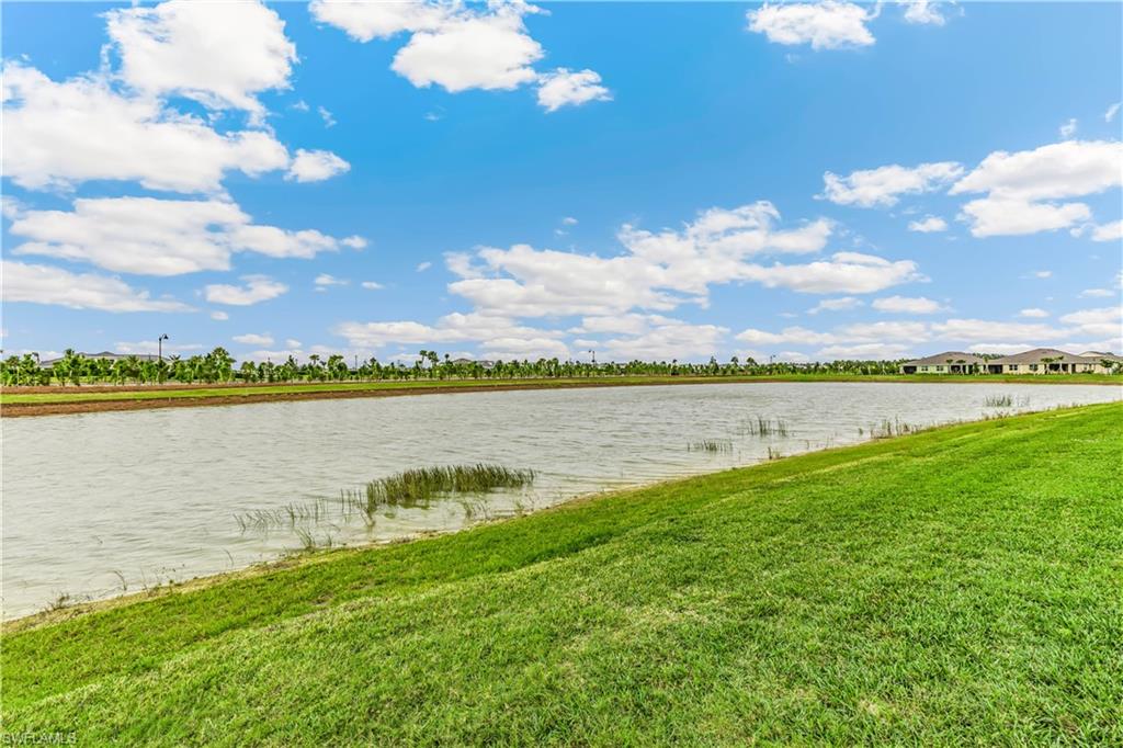 43645 Sparrow Drive Babcock Ranch, FL 33982 - Photo 19 of 19