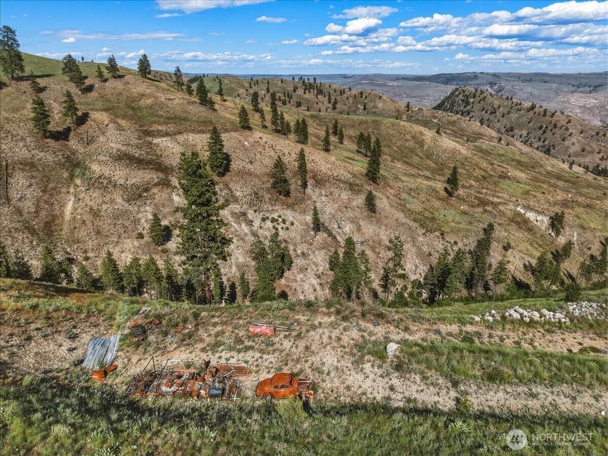 6575 Union Valley Road Chelan, WA 98816 - Photo 5 of 32