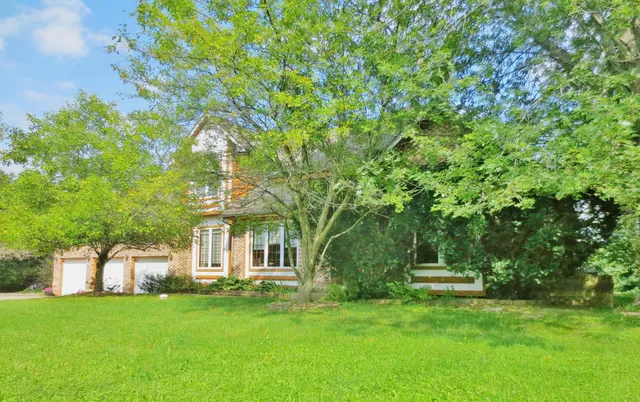 a view of green field with tree in the background