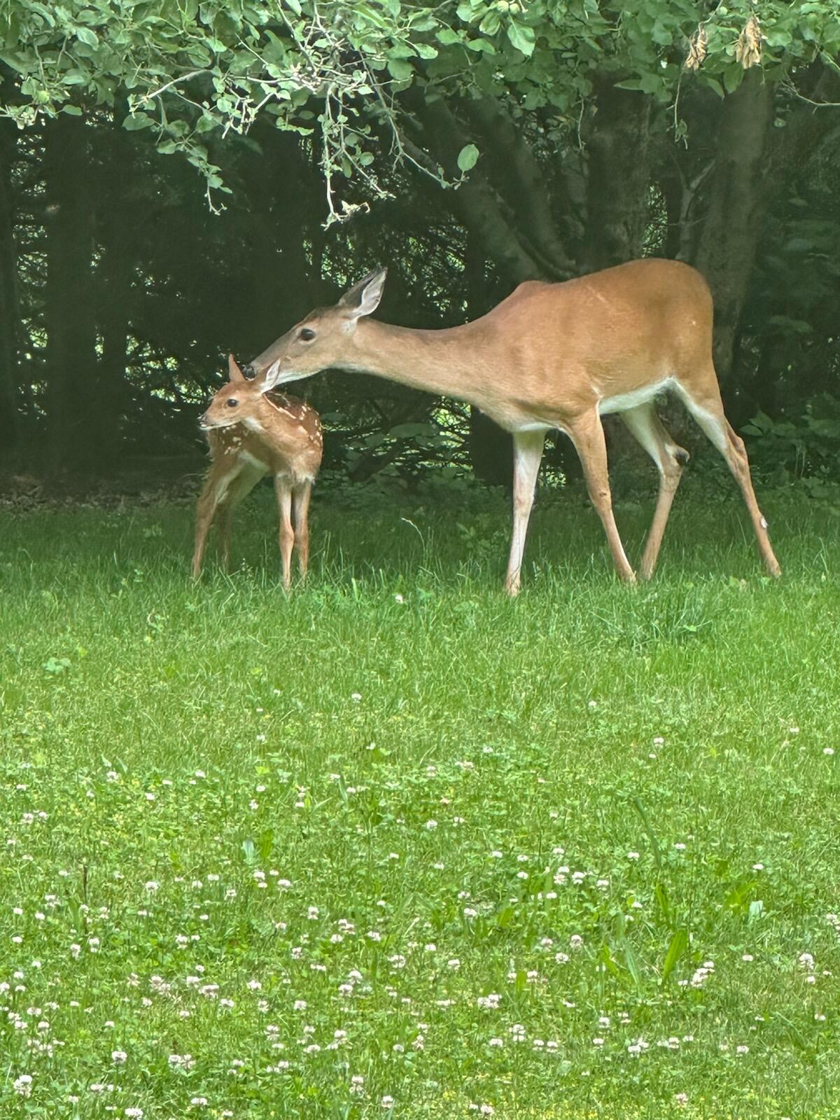 643 North 50 West Valparaiso, IN 46385 - Photo 11 of 62 1200x1600