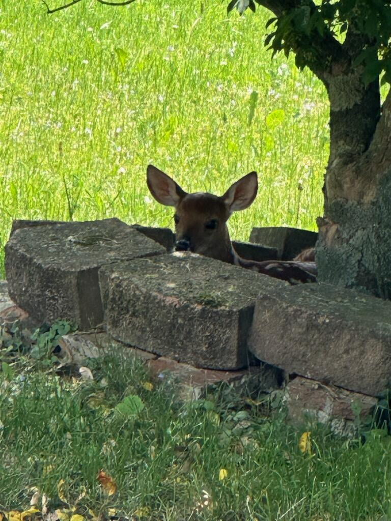 643 North 50 West Valparaiso, IN 46385 - Photo 13 of 62 768x1024