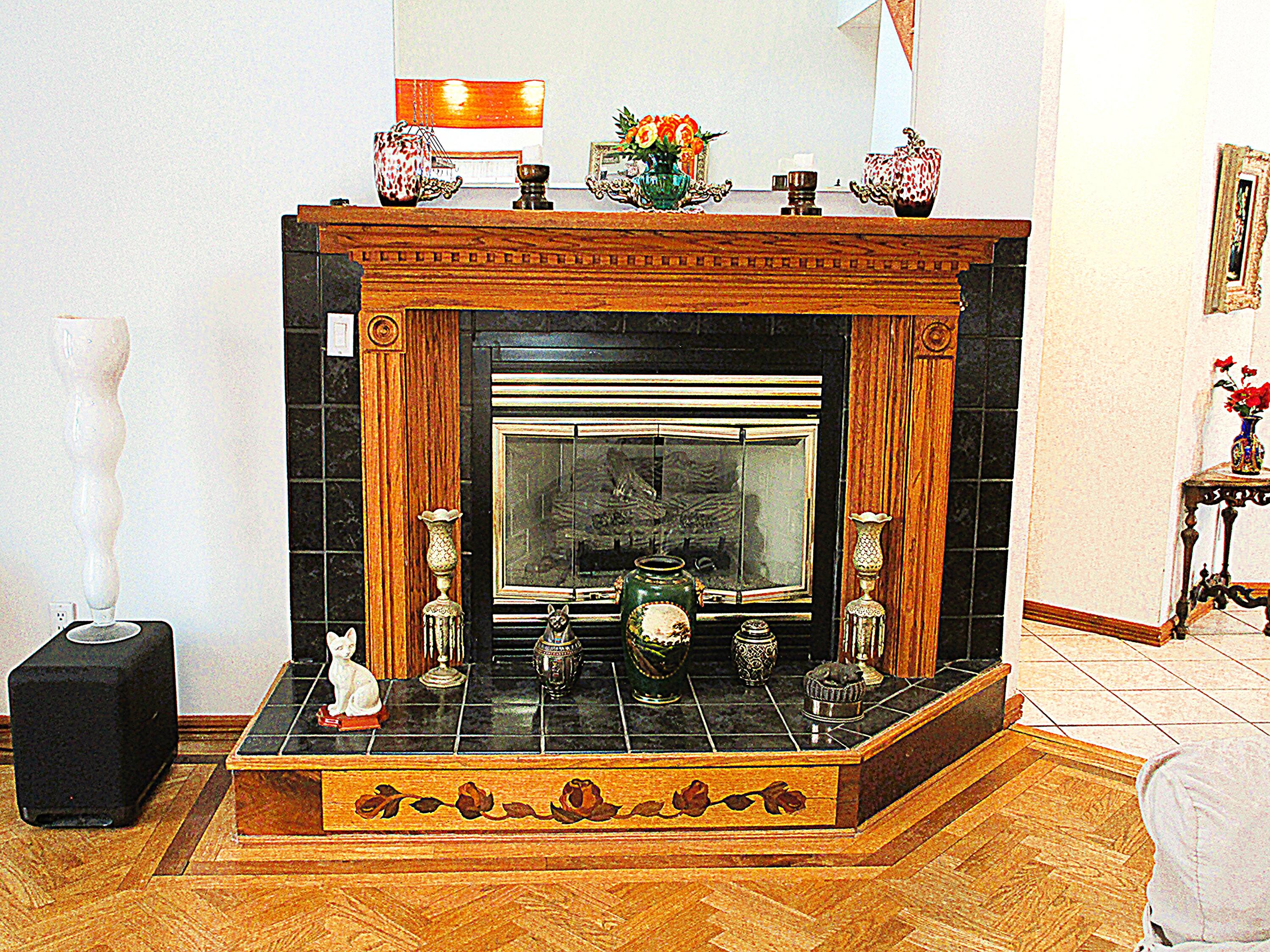 643 North 50 West Valparaiso, IN 46385 - Photo 38 of 69 a view of fireplace