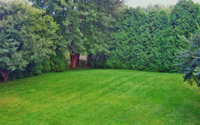 a stove top oven sitting inside of a kitchen