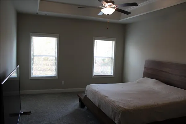 a view of a forest covered with trees