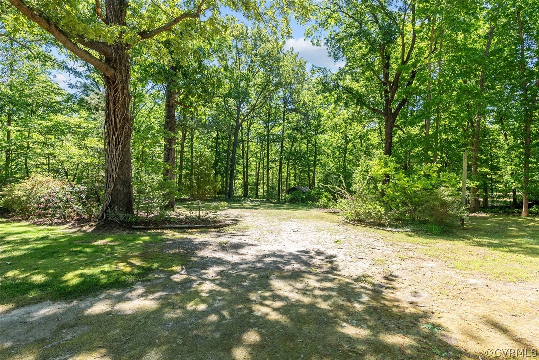 4421 Treely Road Chester, VA 23831 - Photo 33 of 35 Gallery Image 33