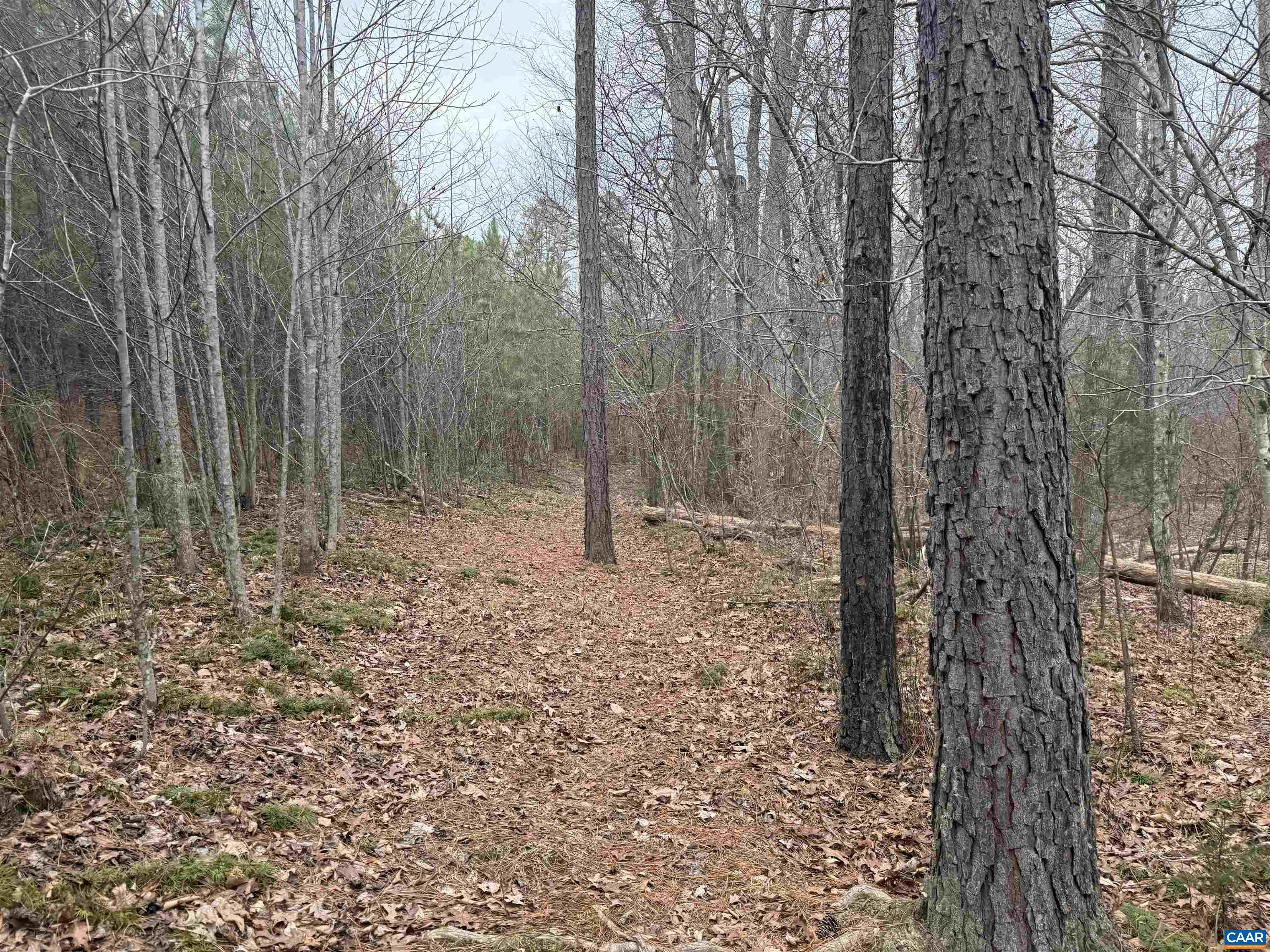 2 Hardware Road Arvonia, VA 23004 - Photo 10 of 17