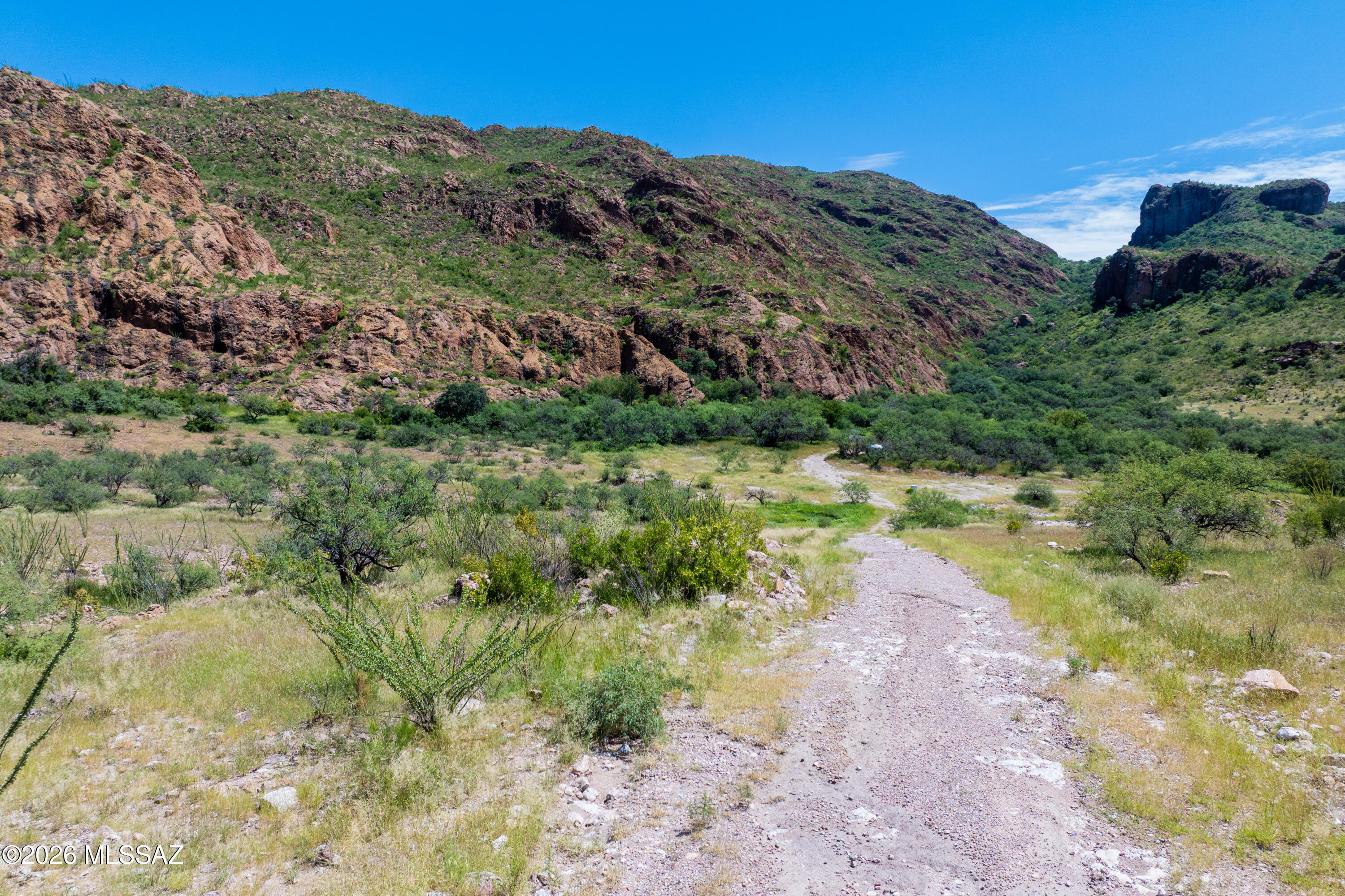 Tbd Tbd Castano Court, Unit 86 Rio Rico, AZ 85648 - Photo 29 of 32 7-print-castano-court