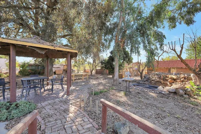a view of a yard with plants and trees