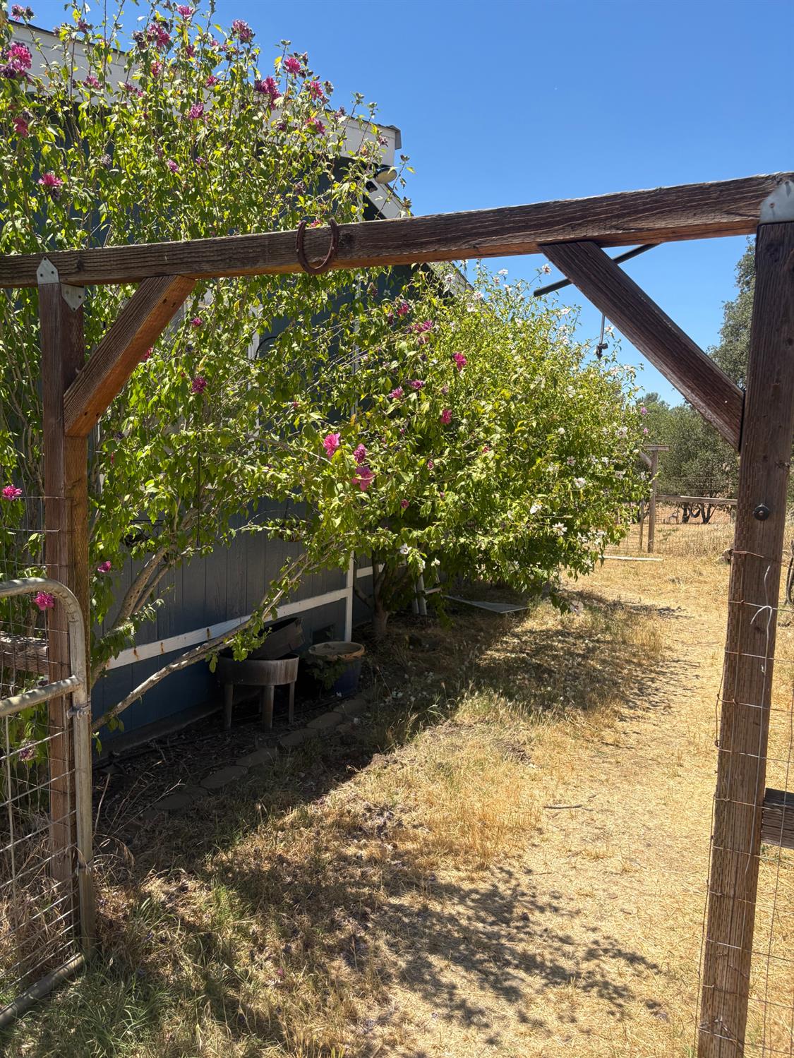 16862 Dutch Mine Road Jamestown, CA 95327 - Photo 32 of 37