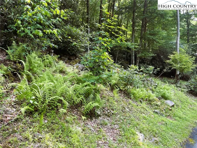 $25,000 | 523 Pinnacle Ridge Road, Beech Mountain, NC 28604
