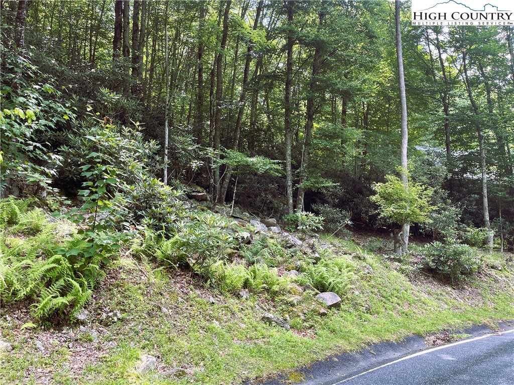 523 Pinnacle Ridge Road Beech Mountain, NC 28604 - Photo 3 of 4