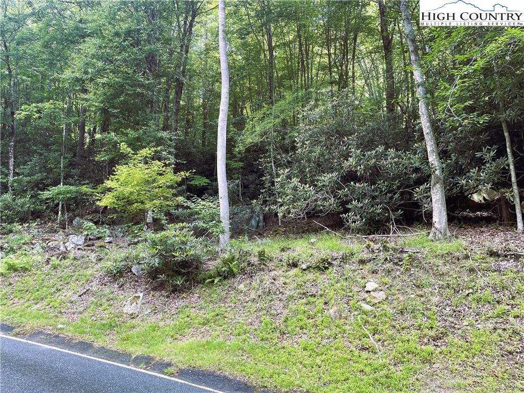 523 Pinnacle Ridge Road Beech Mountain, NC 28604 - Photo 4 of 4