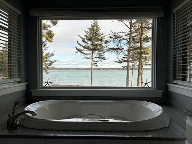 331 Paul Bunyan Road Corea, ME 04624 - Photo 31 of 62 bathtub view