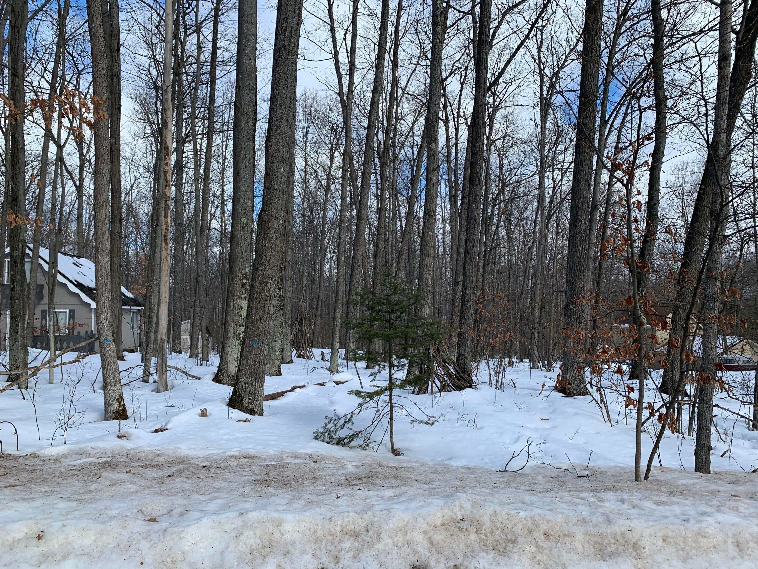 Xxx Xxx Muskegon Road Roscommon, MI 48653 - Photo 3 of 4 Gallery Image 3