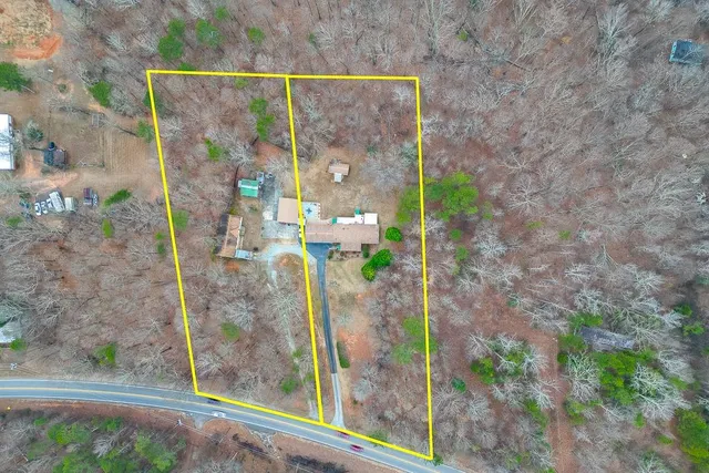 a view of a yard with plants and a bench