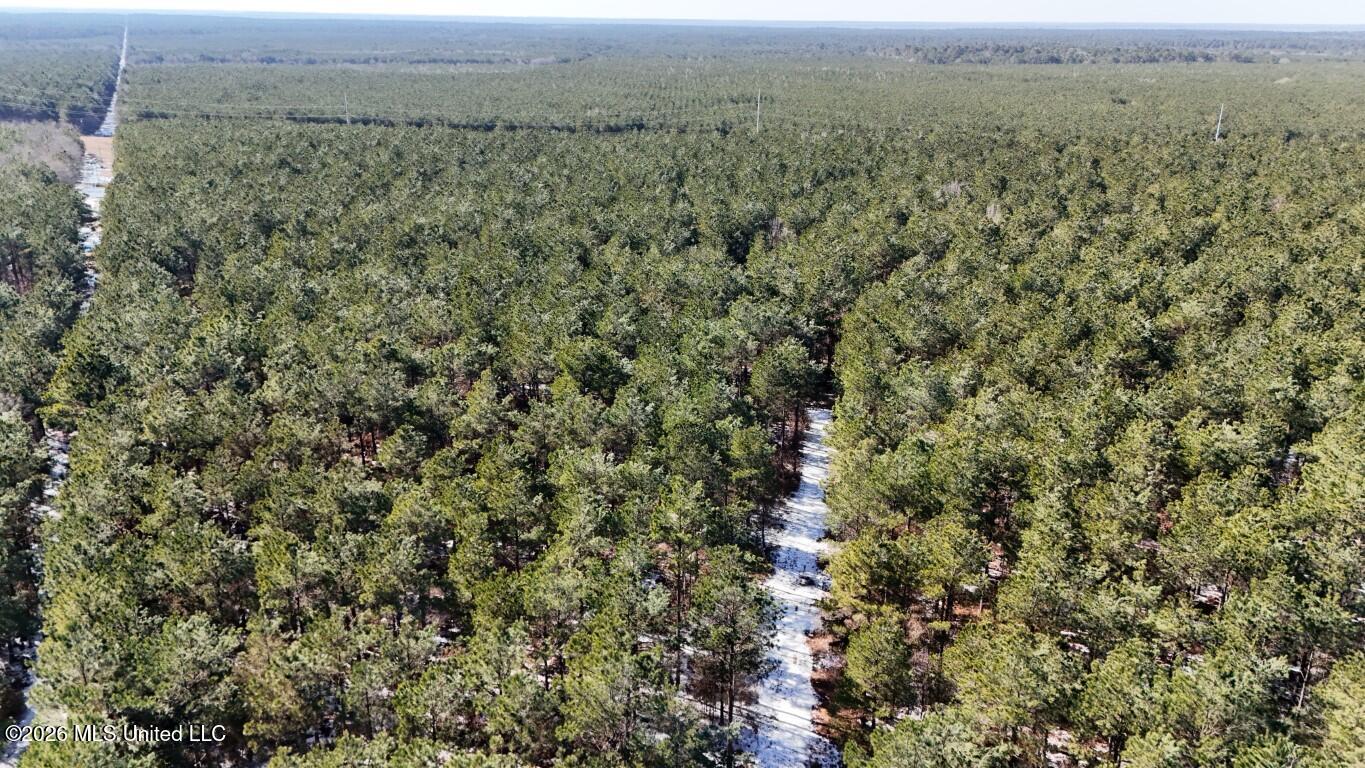 Debutte Road Bastrop, LA 71220 - Photo 12 of 28 DJI_20260202134701_0138_D (Medium)