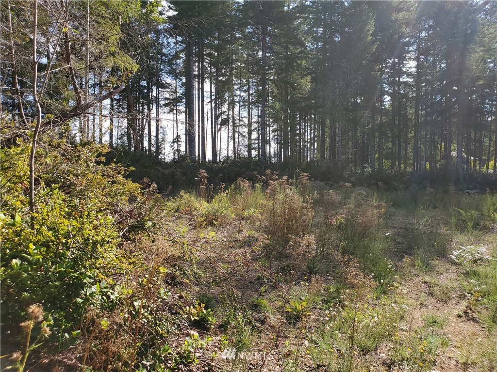 440 Thomas Road Grapeview, WA 98546 - Photo 11 of 19 Gallery Image 11