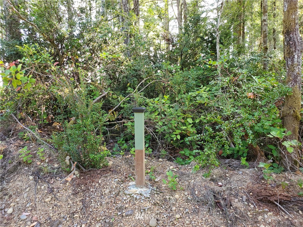 440 Thomas Road Grapeview, WA 98546 - Photo 13 of 19 Gallery Image 13