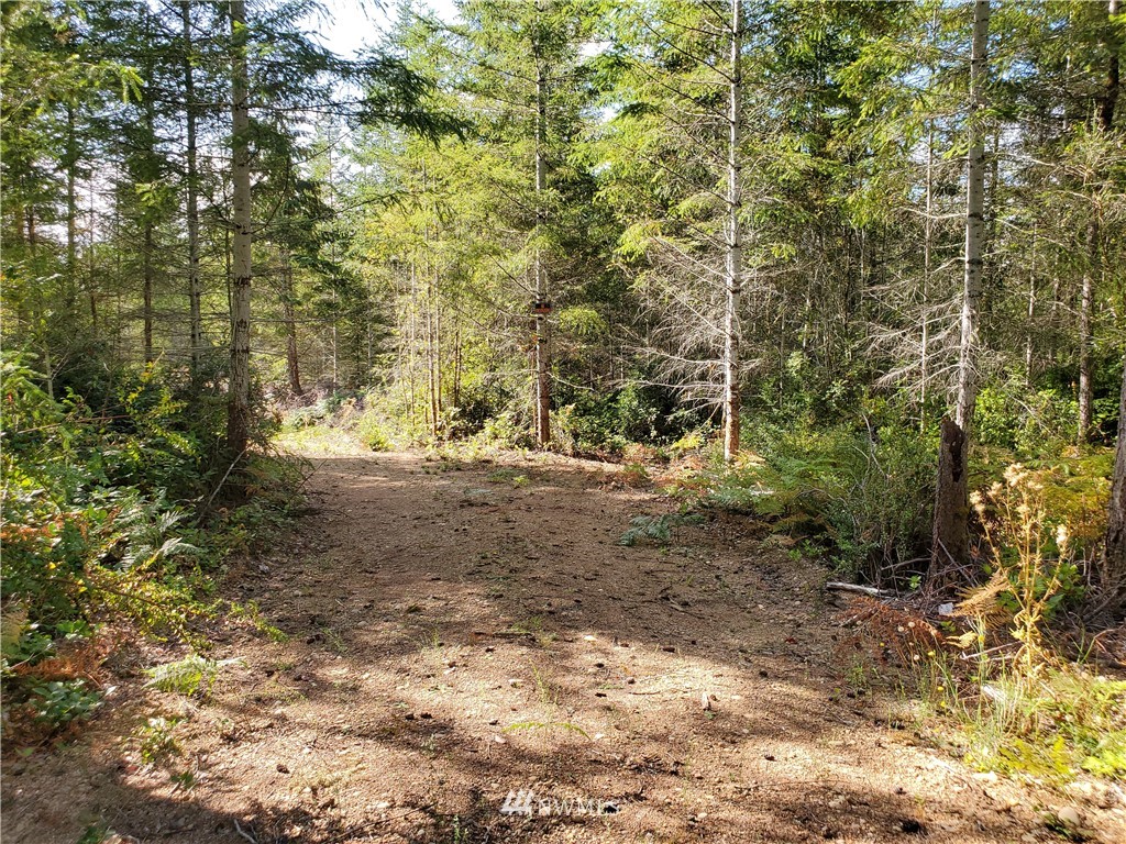 440 Thomas Road Grapeview, WA 98546 - Photo 14 of 19 Gallery Image 14