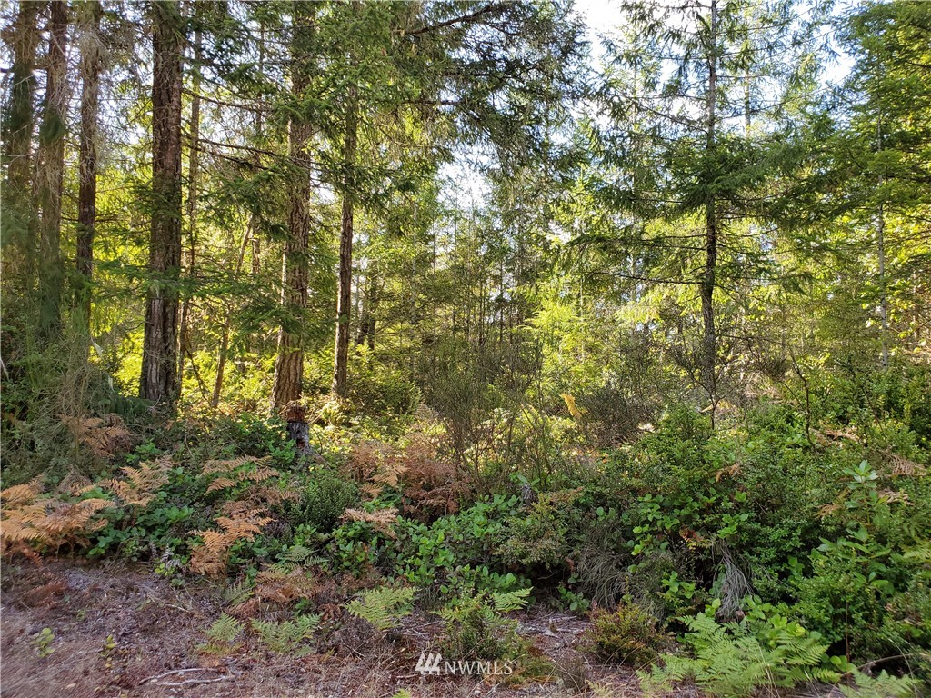 440 Thomas Road Grapeview, WA 98546 - Photo 19 of 19 Gallery Image 19