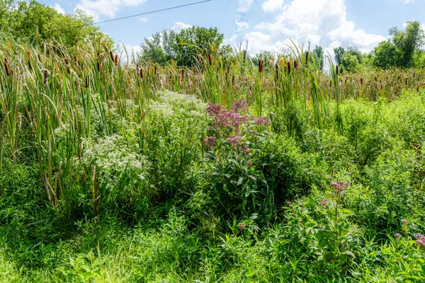 $500,000 | 13228 Dutch Settlement Road, Marcellus, MI 49067