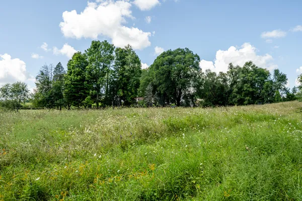 $500,000 | 13228 Dutch Settlement Road, Marcellus, MI 49067