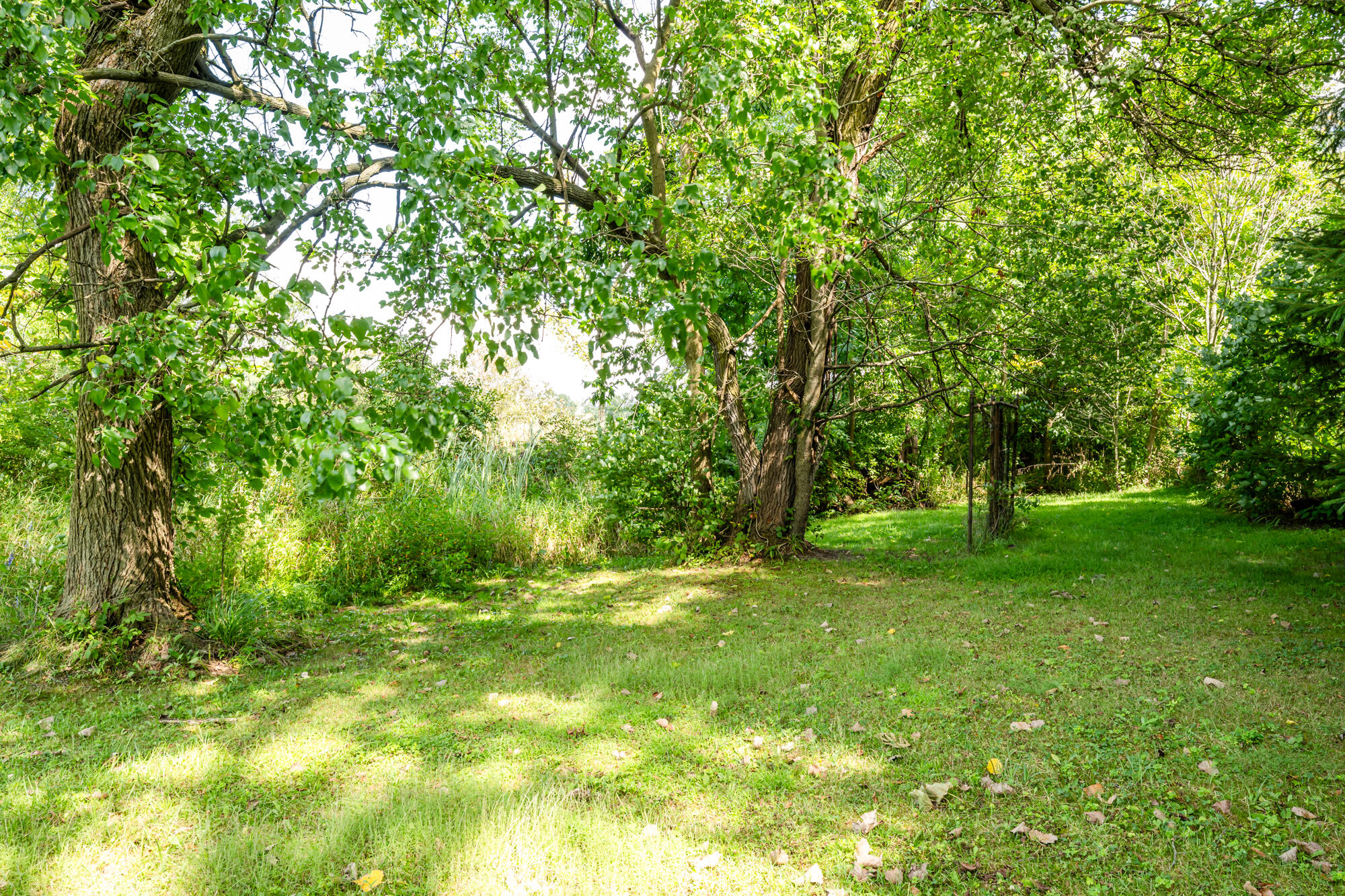 13228 Dutch Settlement Road Marcellus, MI 49067 - Photo 13 of 54 Mattawan-105