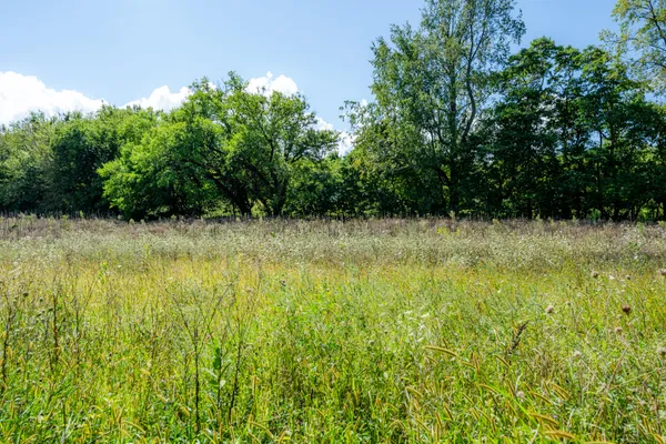 $500,000 | 13228 Dutch Settlement Road, Marcellus, MI 49067