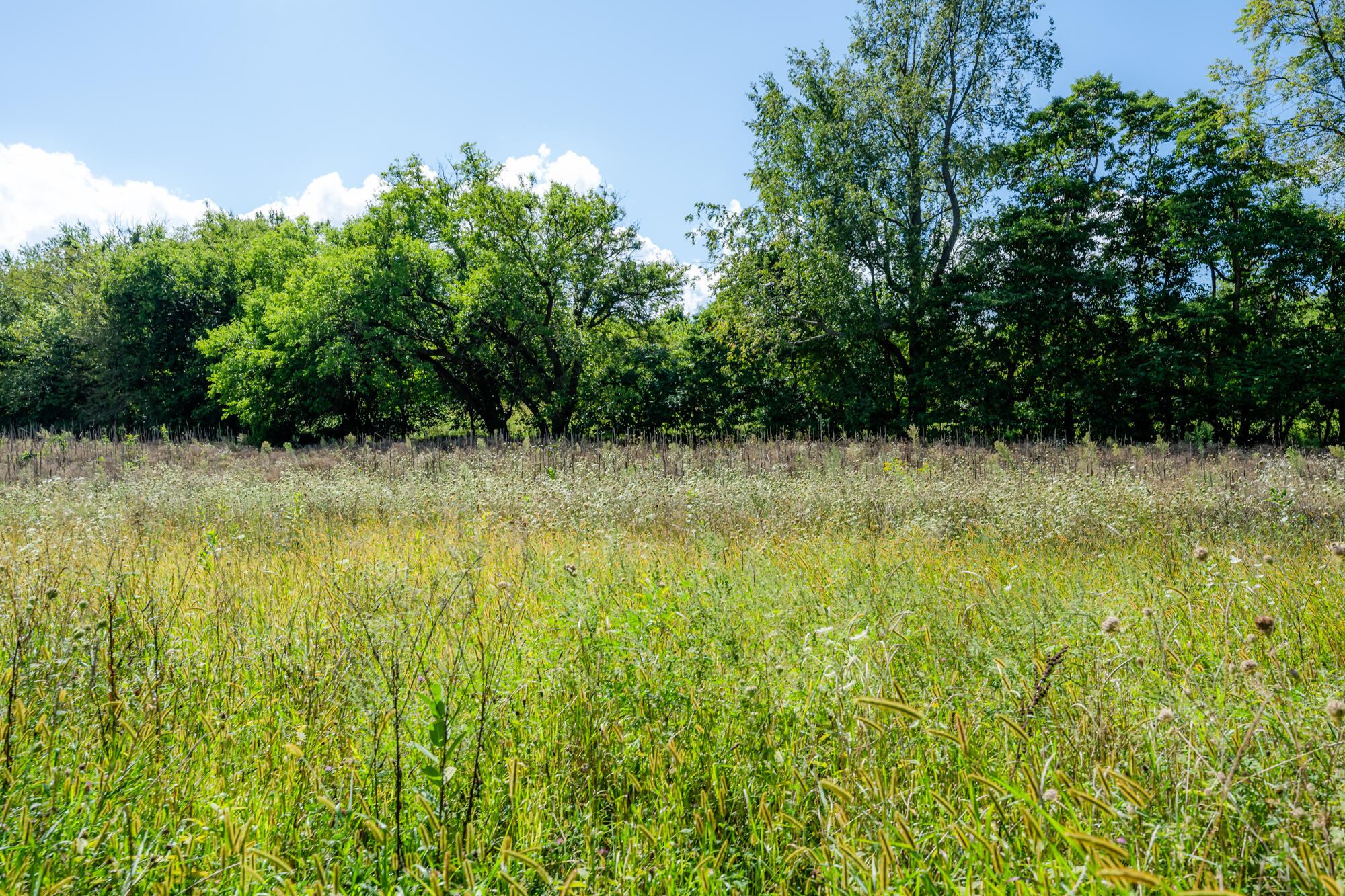 13228 Dutch Settlement Road Marcellus, MI 49067 - Photo 14 of 54 Mattawan-108