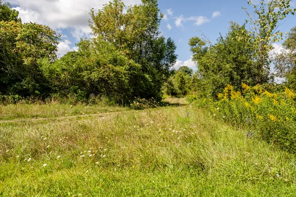 $500,000 | 13228 Dutch Settlement Road, Marcellus, MI 49067