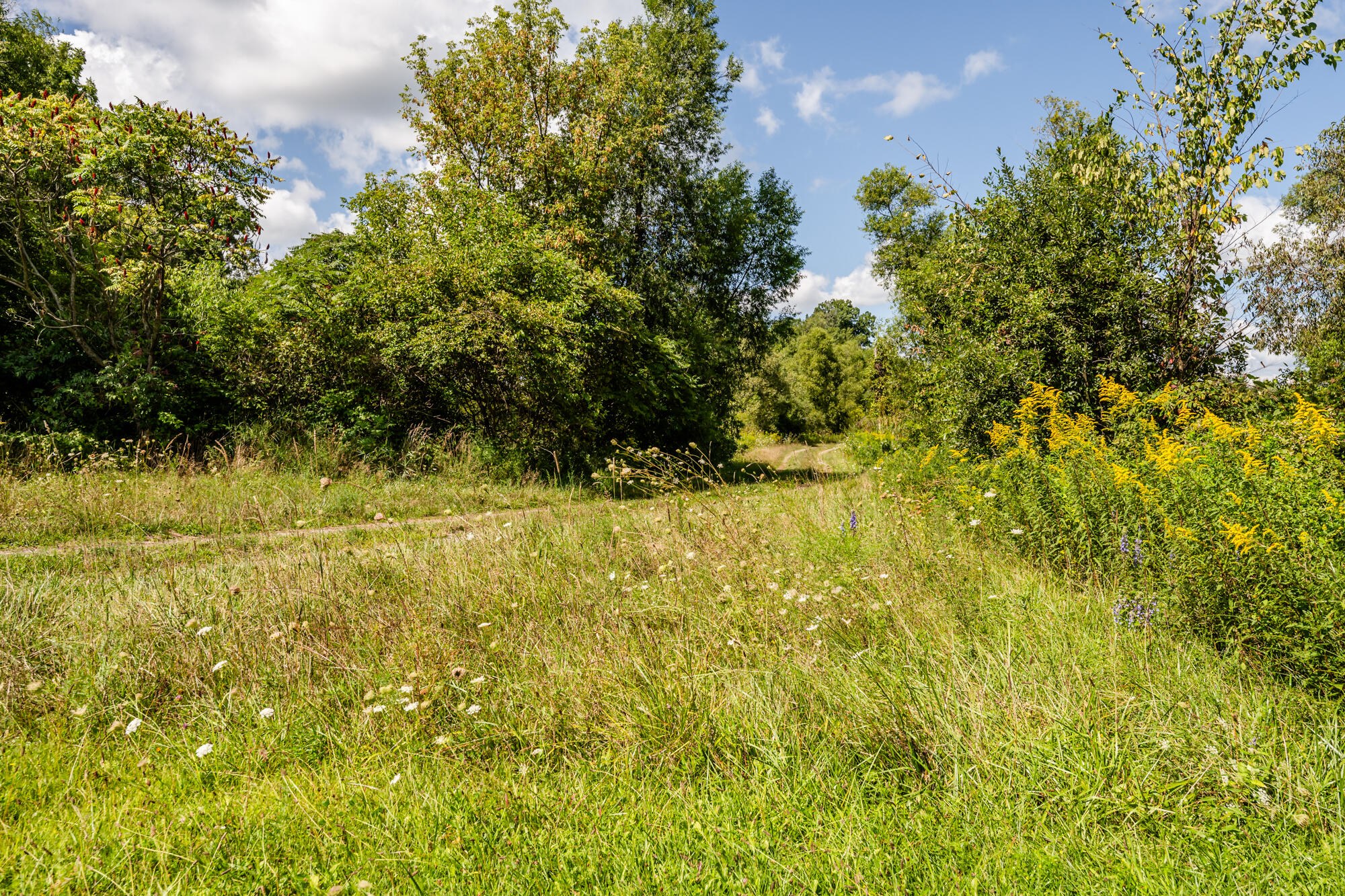 13228 Dutch Settlement Road Marcellus, MI 49067 - Photo 15 of 54 Mattawan-109