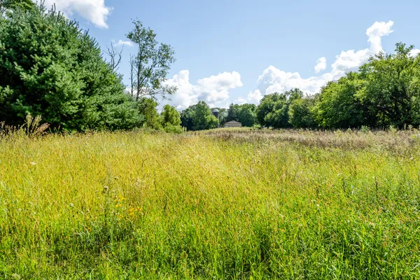 $500,000 | 13228 Dutch Settlement Road, Marcellus, MI 49067