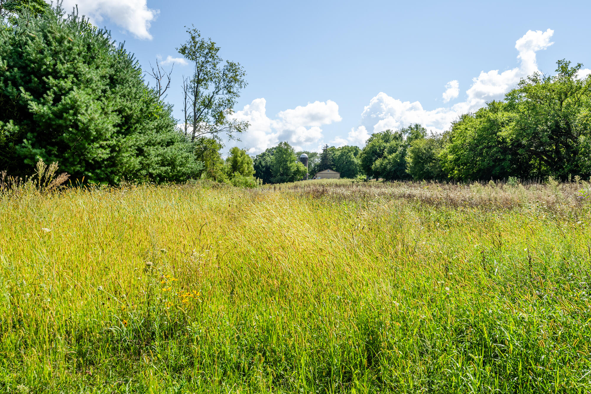 13228 Dutch Settlement Road Marcellus, MI 49067 - Photo 16 of 54 Mattawan-110