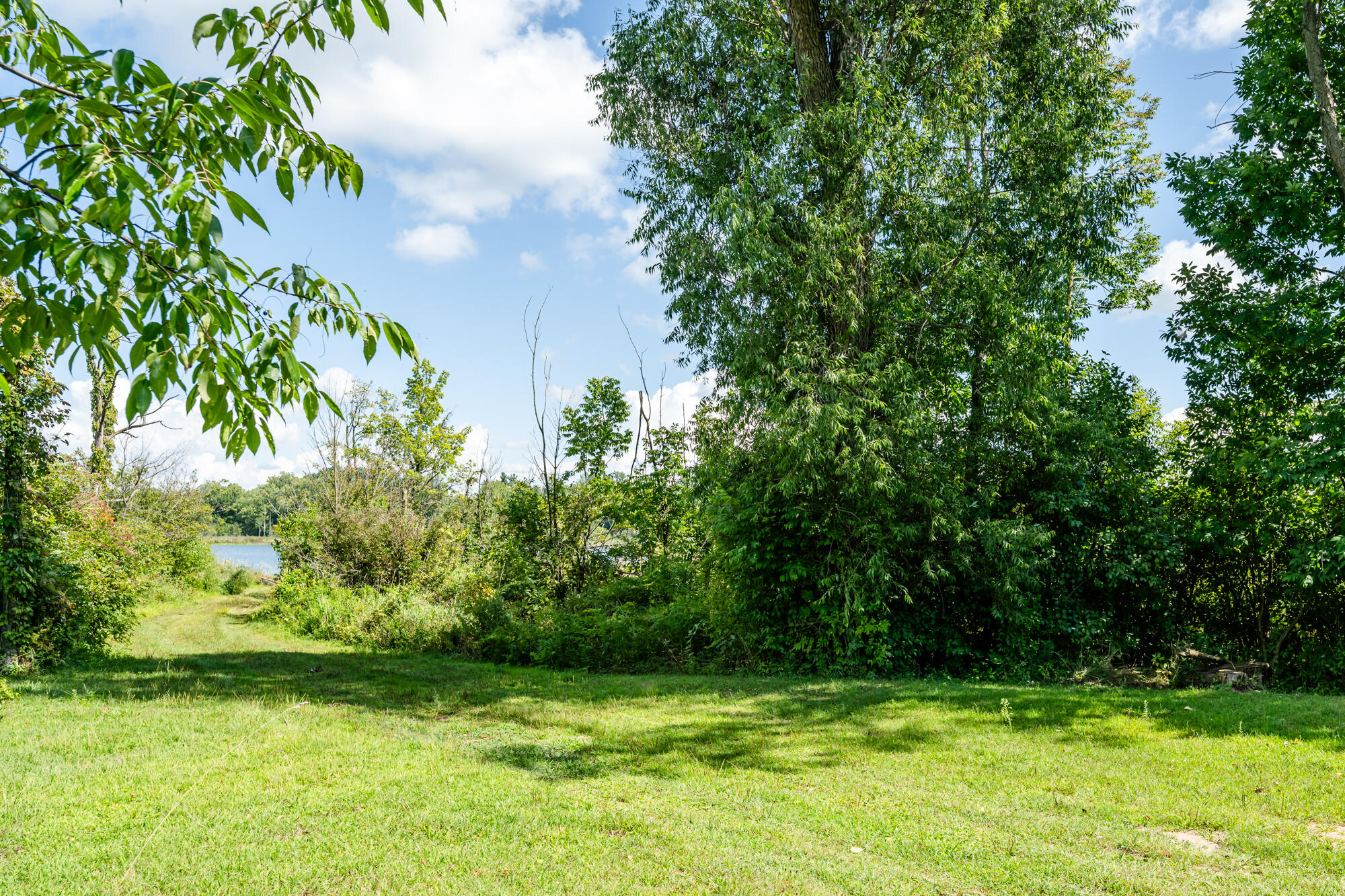 13228 Dutch Settlement Road Marcellus, MI 49067 - Photo 17 of 54 Mattawan-111