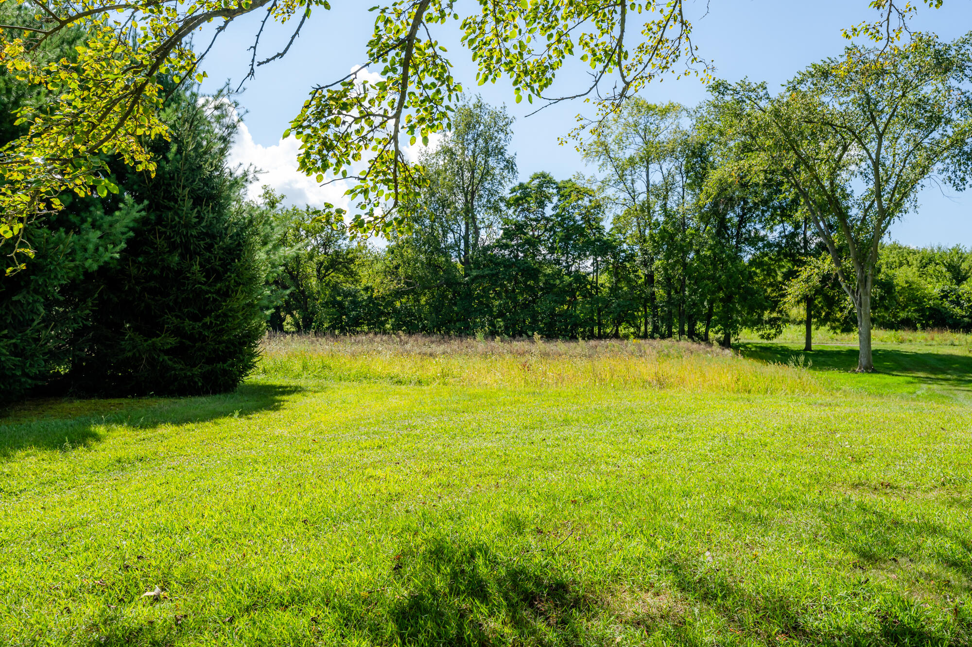 13228 Dutch Settlement Road Marcellus, MI 49067 - Photo 18 of 54 Mattawan-112